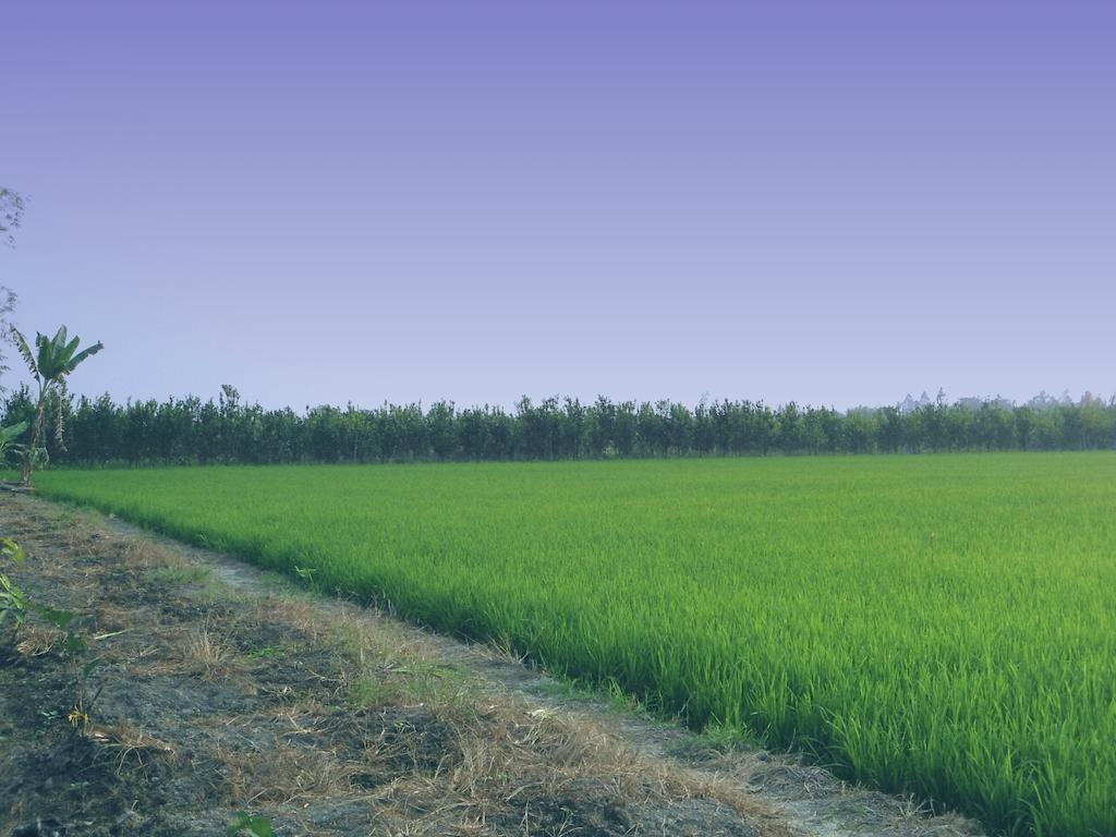 Green Village 1 Cần Thơ Extérieur photo