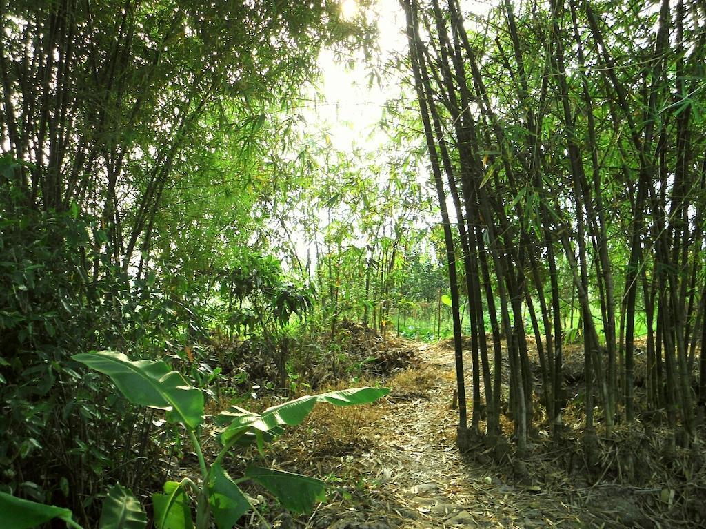 Green Village 1 Cần Thơ Extérieur photo